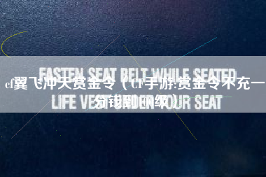 cf翼飞冲天赏金令（CF手游:赏金令不充一分钱到100级）