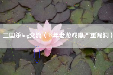 三国杀bug交流（12年老游戏曝严重漏洞）