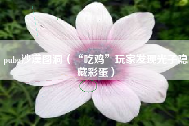 pubg沙漠图洞（“吃鸡”玩家发现光子隐藏彩蛋）