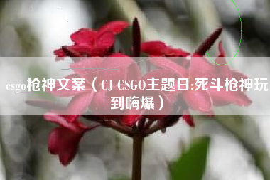 csgo枪神文案（CJ CSGO主题日:死斗枪神玩到嗨爆）