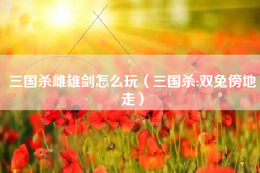 三国杀雌雄剑怎么玩（三国杀:双兔傍地走）