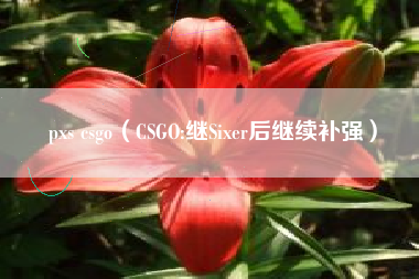 pxs csgo（CSGO:继Sixer后继续补强）
