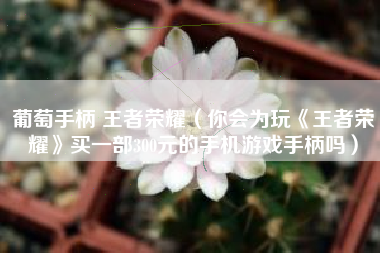 葡萄手柄 王者荣耀（你会为玩《王者荣耀》买一部300元的手机游戏手柄吗）