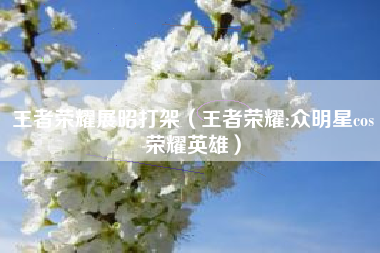 王者荣耀展昭打架（王者荣耀:众明星cos荣耀英雄）