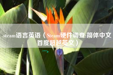 steam语言英语（Steam硬件调查:简体中文首度超越英文）
