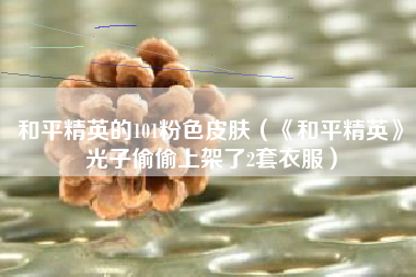 和平精英的101粉色皮肤（《和平精英》光子偷偷上架了2套衣服）