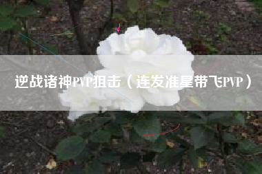 逆战诸神PVP狙击（连发准星带飞PVP）
