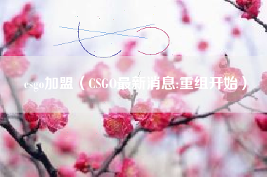 csgo加盟（CSGO最新消息:重组开始）