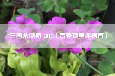三国杀倒闭 2017（曾登顶差评榜首）