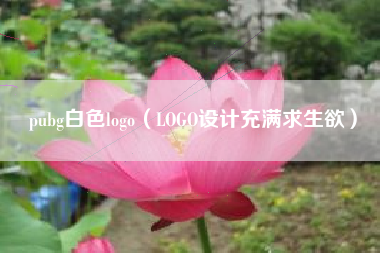 pubg白色logo（LOGO设计充满求生欲）