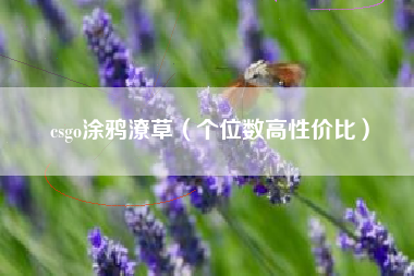 csgo涂鸦潦草（个位数高性价比）