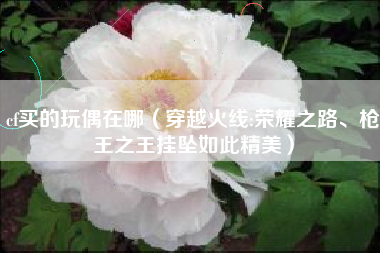 cf买的玩偶在哪（穿越火线:荣耀之路、枪王之王挂坠如此精美）