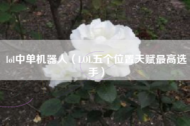 lol中单机器人（LOL五个位置天赋最高选手）