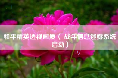 和平精英透视画质（ 战斗信息迷雾系统启动）