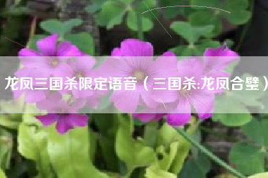 龙凤三国杀限定语音（三国杀:龙凤合璧）