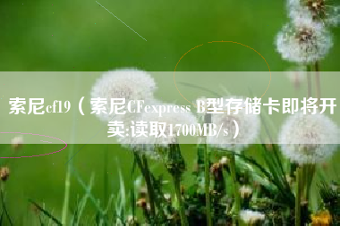 索尼cf19（索尼CFexpress B型存储卡即将开卖:读取1700MB/s）