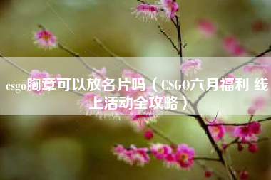 csgo胸章可以放名片吗（CSGO六月福利 线上活动全攻略）