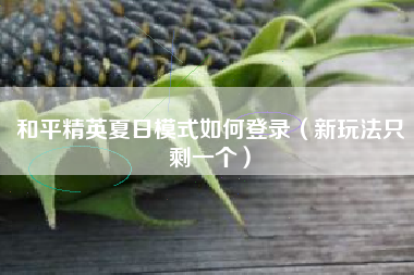 和平精英夏日模式如何登录（新玩法只剩一个）