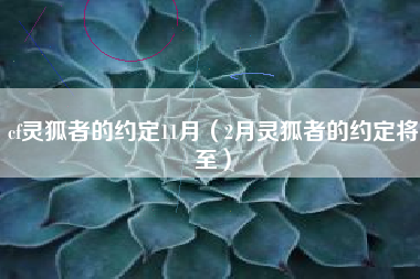 cf灵狐者的约定11月（2月灵狐者的约定将至）