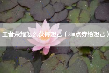 王者荣耀怎么获得妲己（300点券给妲己）
