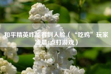 和平精英咋能看到人脸（“吃鸡”玩家凌晨4点打游戏）