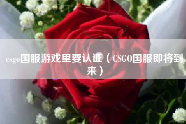 csgo国服游戏里要认证（CSGO国服即将到来）