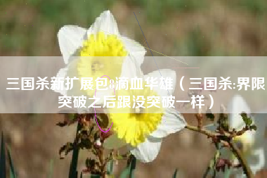 三国杀新扩展包8滴血华雄（三国杀:界限突破之后跟没突破一样）