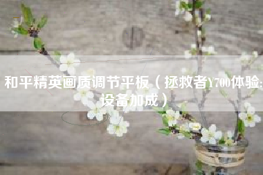 和平精英画质调节平板（拯救者Y700体验:设备加成）