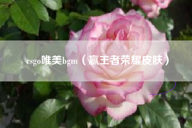 csgo唯美bgm（赢王者荣耀皮肤）