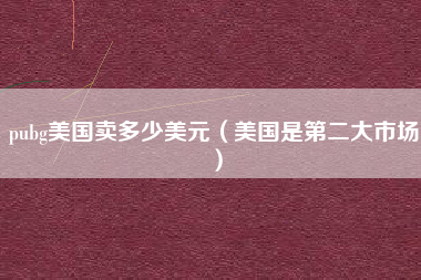 pubg美国卖多少美元（美国是第二大市场）