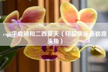 csgo平底锅和二西莫夫（印花集逐渐崭露头角）