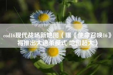 cod16现代战场新地图（曝《使命召唤16》将推出大逃杀模式 地图超大）