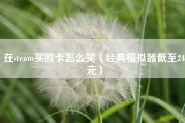 在steam买欧卡怎么买（经典模拟器低至24元）