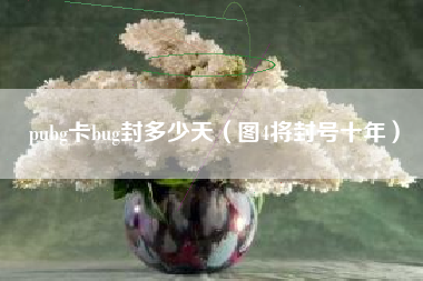 pubg卡bug封多少天（图4将封号十年）