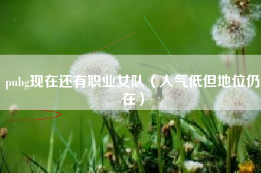 pubg现在还有职业女队（人气低但地位仍在）