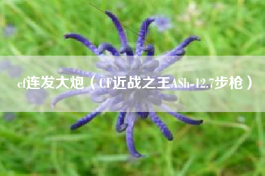 cf连发大炮（CF近战之王ASh-12.7步枪）