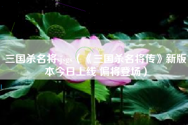 三国杀名将sjsgs（《三国杀名将传》新版本今日上线 偏将登场）