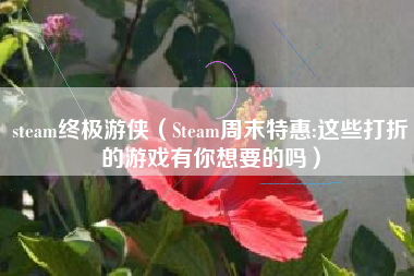 steam终极游侠（Steam周末特惠:这些打折的游戏有你想要的吗）