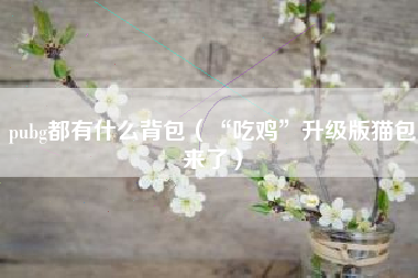 pubg都有什么背包（“吃鸡”升级版猫包来了）