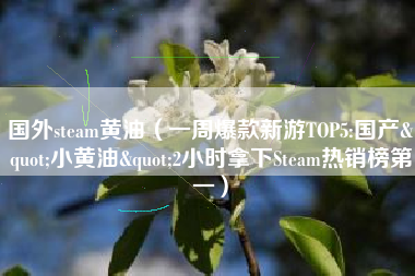 国外steam黄油（一周爆款新游TOP5:国产"小黄油"2小时拿下Steam热销榜第一）