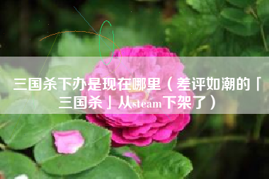 三国杀下办是现在哪里（差评如潮的「三国杀」从steam下架了）