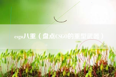 csgo八重（盘点CSGO的重型武器）