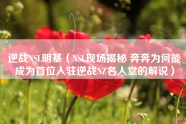 逆战NSL明基（NSL现场揭秘 奔奔为何能成为首位入驻逆战NZ名人堂的解说）