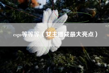 csgo等等等（女主播成最大亮点）