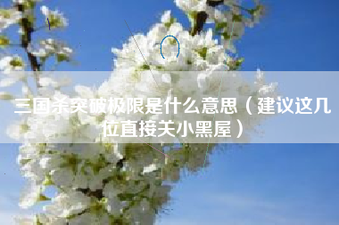 三国杀突破极限是什么意思（建议这几位直接关小黑屋）