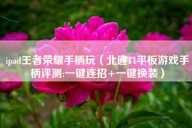 ipad王者荣耀手柄玩（北通T1平板游戏手柄评测:一键连招+一键换装）