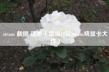 steam 截图 清晰（盘点10款Steam烧显卡大作）