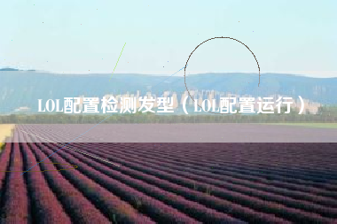 LOL配置检测发型（LOL配置运行）