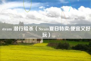 steam 潜行暗杀（Steam夏日特卖:便宜又好玩）