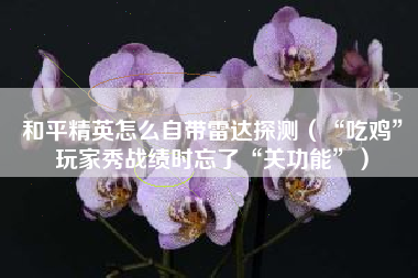 和平精英怎么自带雷达探测（“吃鸡”玩家秀战绩时忘了“关功能”）